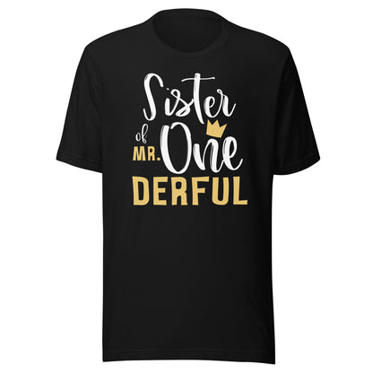 Sister of Mr Onederful 1st Birthday 1 One-Derful Matching T-Shirt